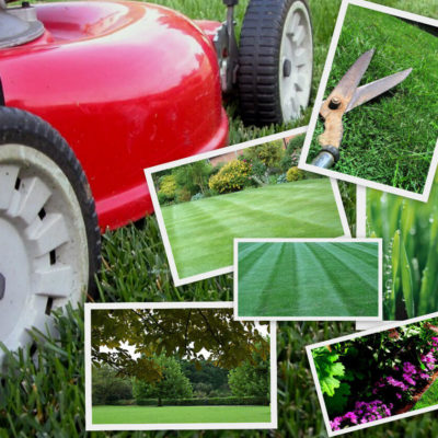 Razones para Contratar una Empresa de Jardinería