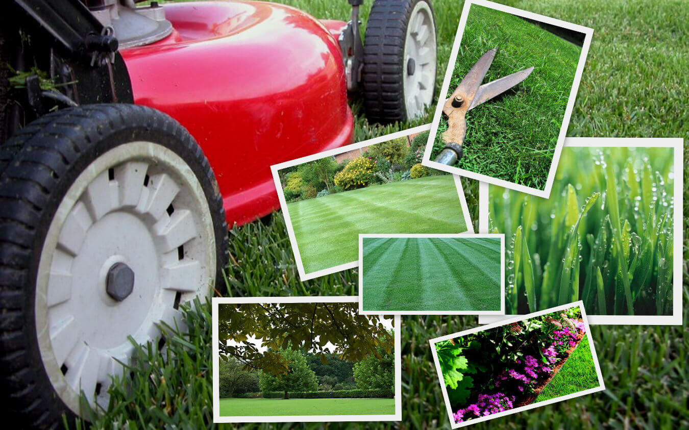 Razones para Contratar una Empresa de Jardinería | Innatura