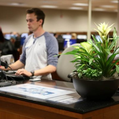 Influencia de las Plantas en la Productividad