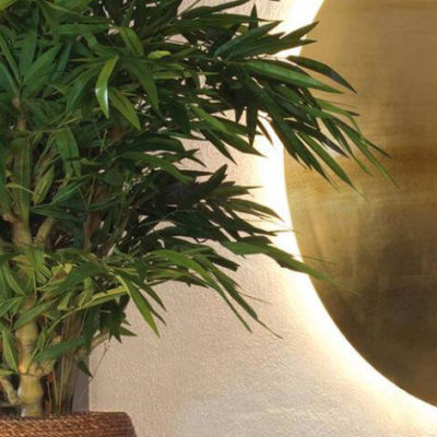 ¿Plantas naturales o plantas artificiales?